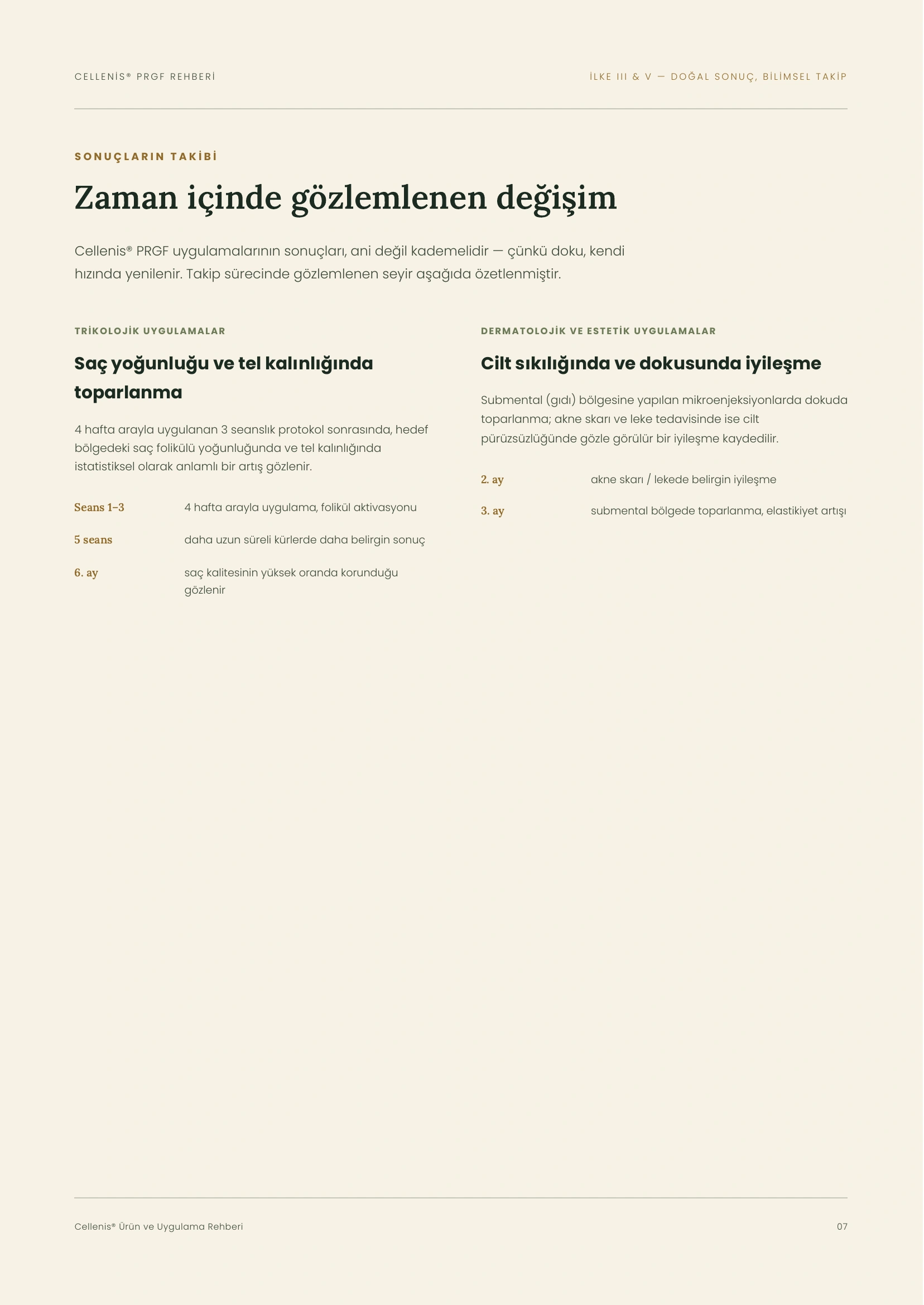 Cellenis Rehberi - Sayfa 7